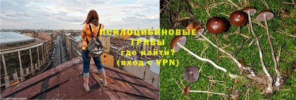 ALPHA-PVP Дмитриев