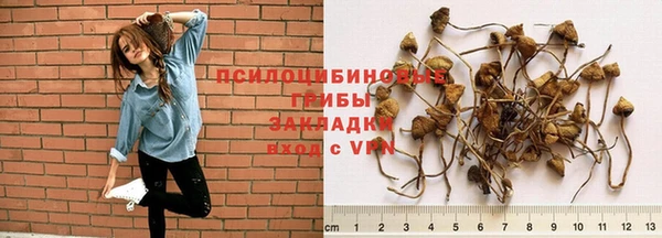 ALPHA-PVP Дмитриев