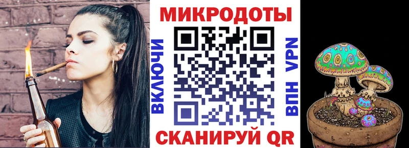 Галлюциногенные грибы Psilocybine cubensis  Псков 